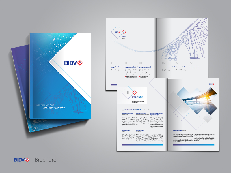 Thiết kế brochure doanh nghiệp cho BIDV