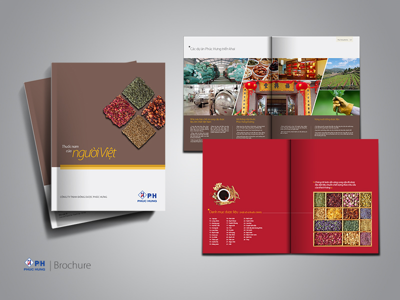 Thiết kế brochure doanh nghiệp cho Đông Dược Phúc Hưng